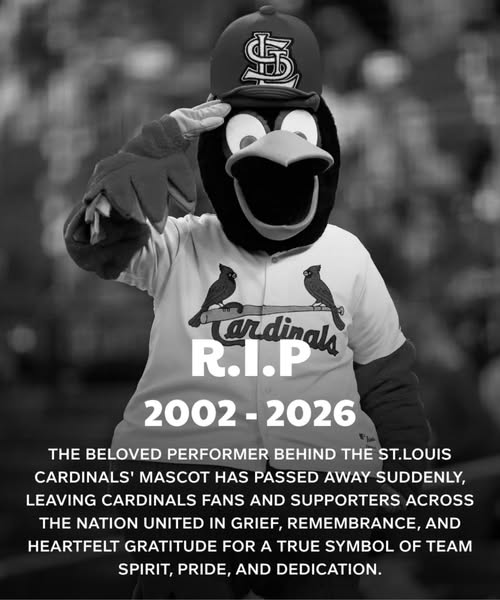 St. Louis Cardinals Respond to Reports Surrounding Fredbird Performer Incident