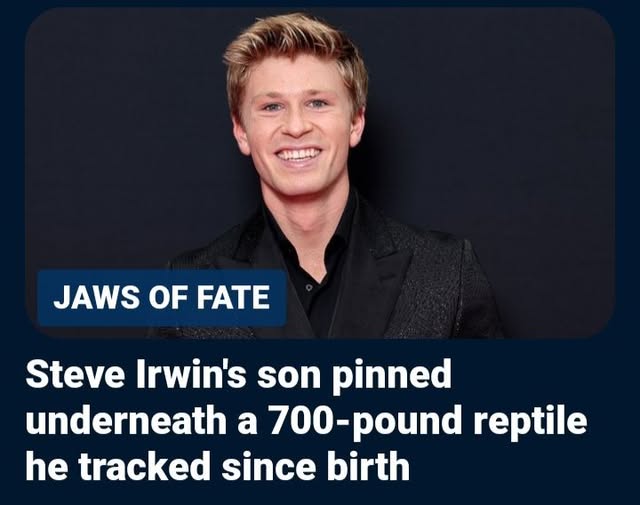 Robert Irwin Crocodile Incident, Obituary, Death: Wildlife Demonstration Turns Dangerous During Australia Zoo Encounter