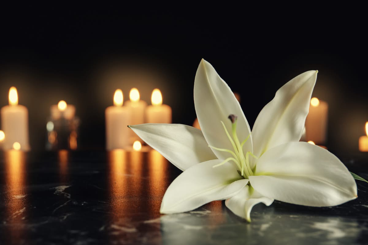 Leonard Lu, California, Obituary, Death: Dedicated Plastic Surgeon Mourned Following His Passing